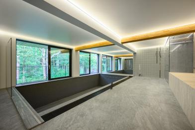 Дом, Елизарово Парк КП (Каменка), 543 кв.м