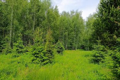 Участок, Согласие-2 КП (Фоминское), 32.2 сот