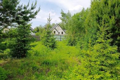 Участок, Согласие-2 КП (Фоминское), 32.2 сот