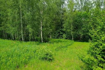 Участок, Согласие-2 КП (Фоминское), 32.2 сот