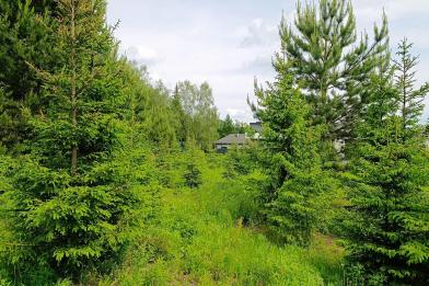 Участок, Согласие-2 КП (Фоминское), 32.2 сот