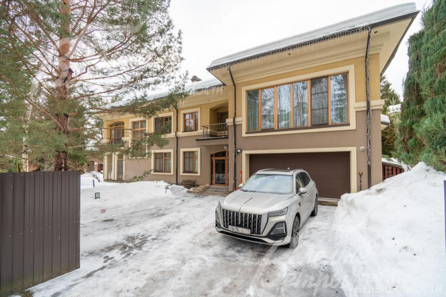 Взрослые лесные деревья на участке