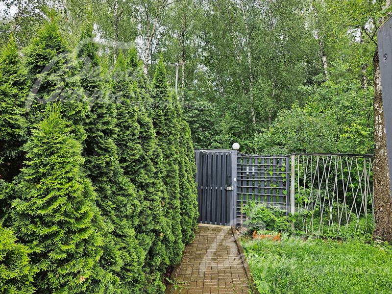 Выход в лес с территории поселка.