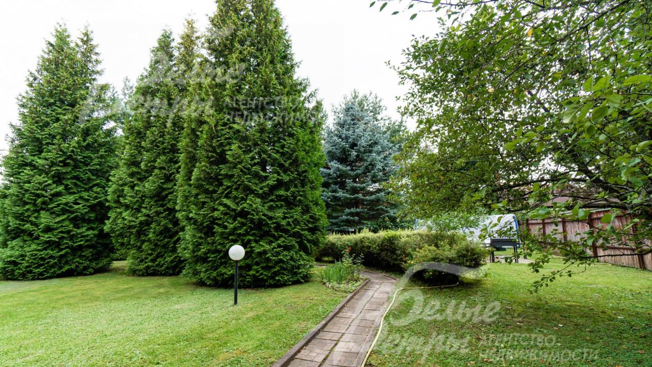 На участке взрослые ели, сосны, туи, клен и др. 