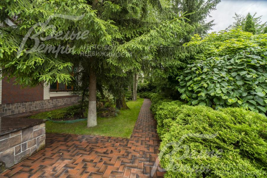 Участок утопает в зелени