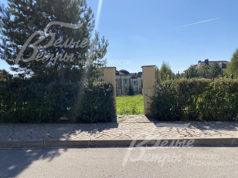 Высажена живая изгородь вдоль забора