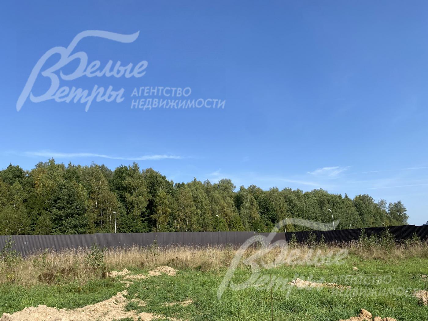 Прямой выход в лес из поселка Бававрские Поляны