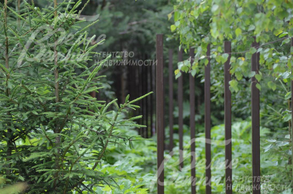 Участок с лесными деревьями в поселке Усадьба Шарапово