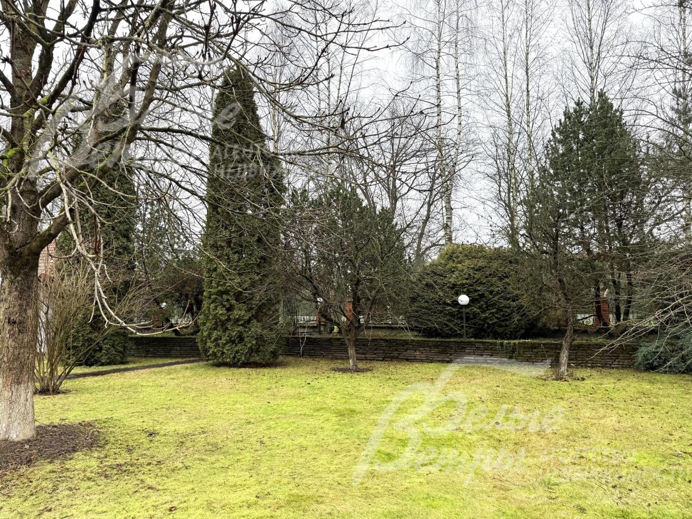 Участок – с лесопарковым ландшафтным дизайном, на участке высажены взрослые деревья и декоративные кустарники