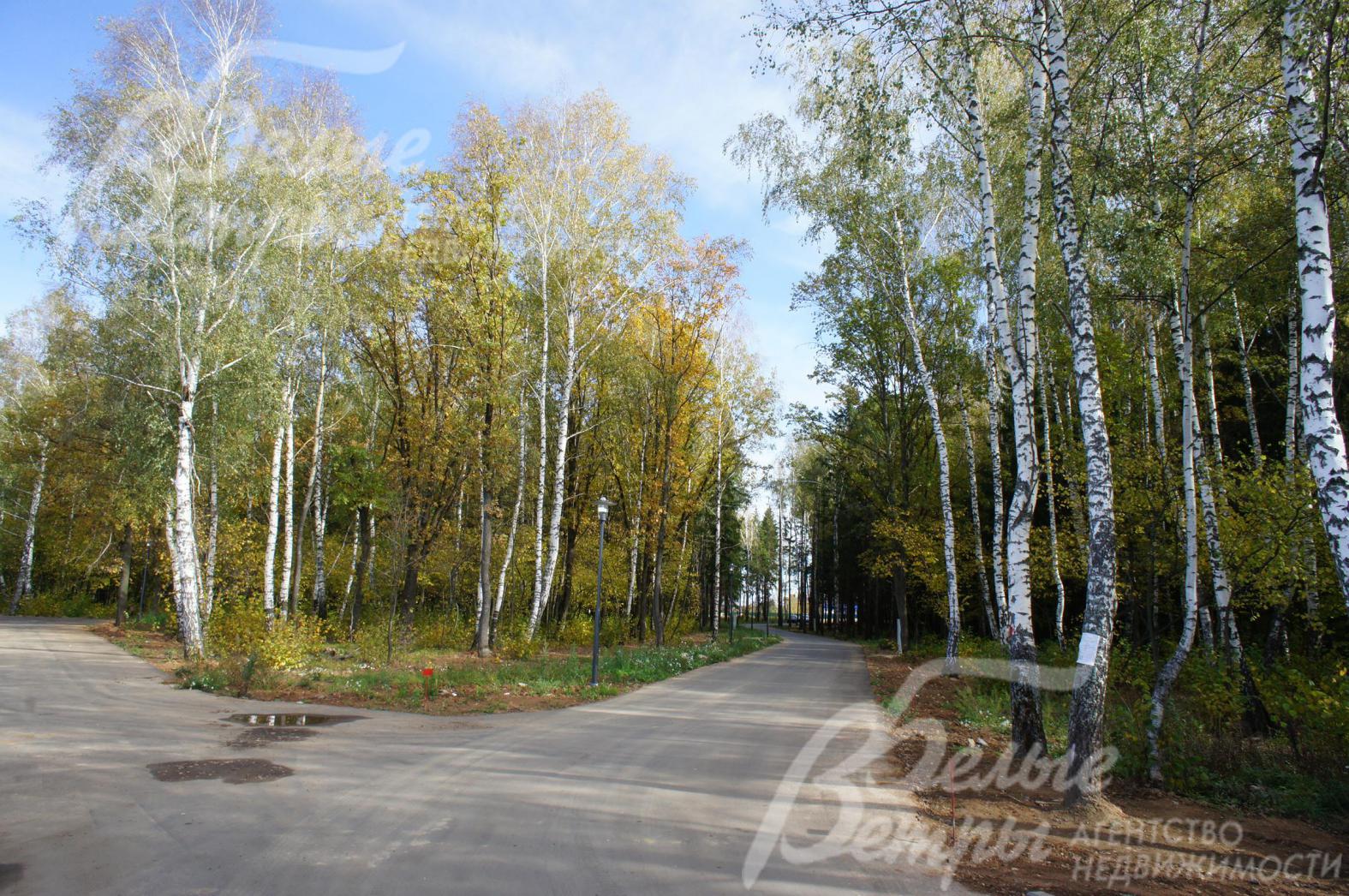 Лесной участок 136 соток в КП "Зеленые холмы"