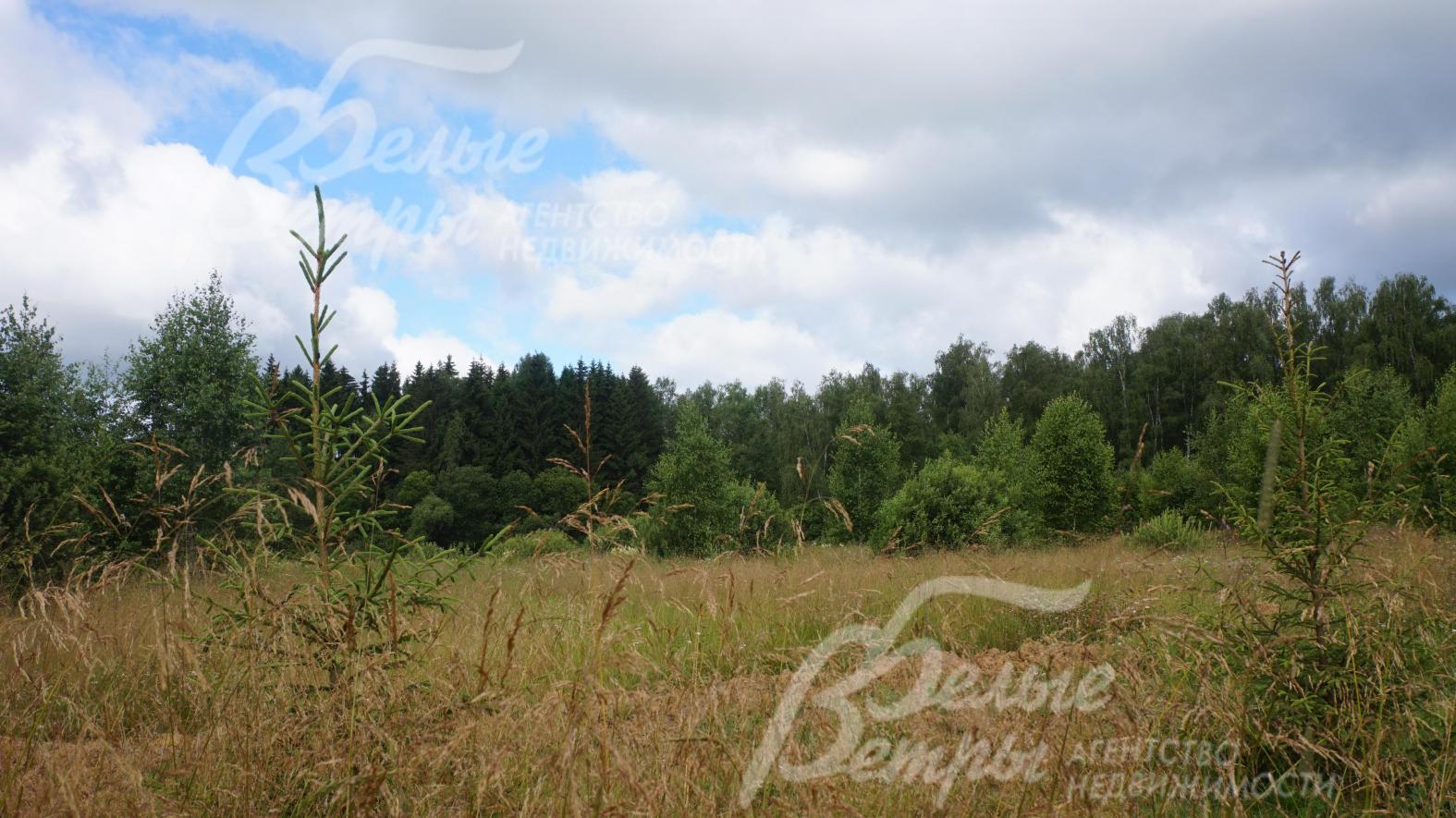 Поселок со всех сторон граничит с лесом