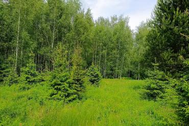 Участок, Согласие-2 КП (Фоминское), 32.2 сот