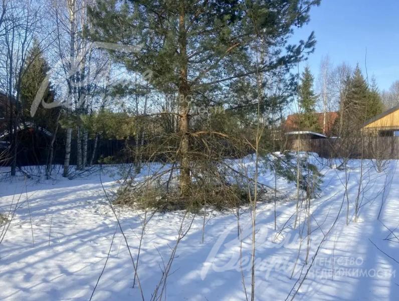 Участок готов к реализации проекта ландшафтного дизайна, на нём частично сохранены лесные деревья