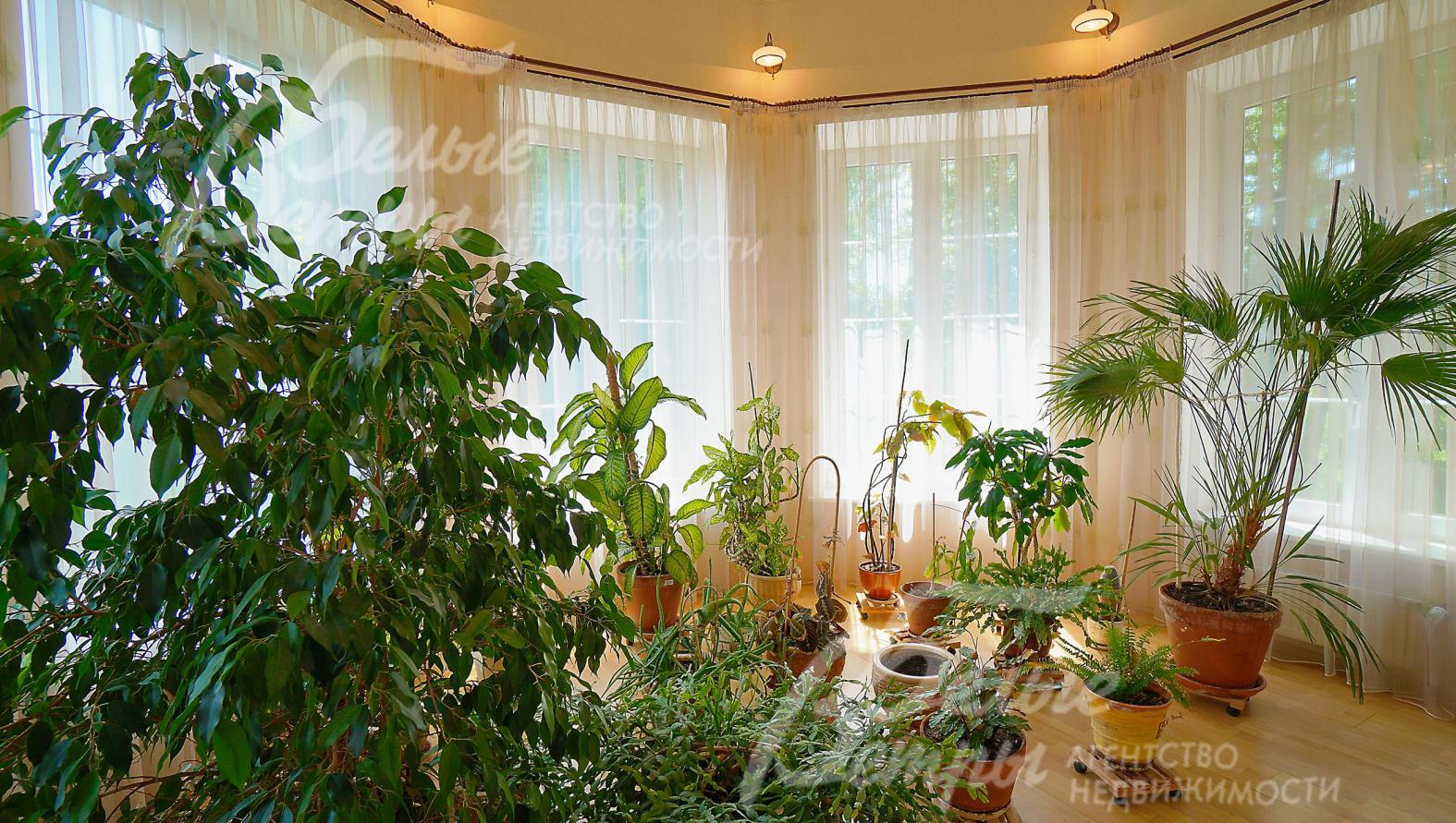 Зимний сад 17 кв.м