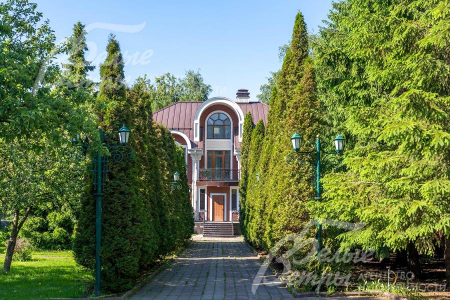 Аллея из многолетних туй как в дворянских усадьбах 19 века