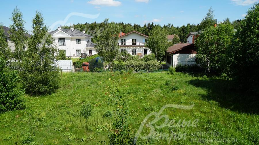 На участке есть деревья