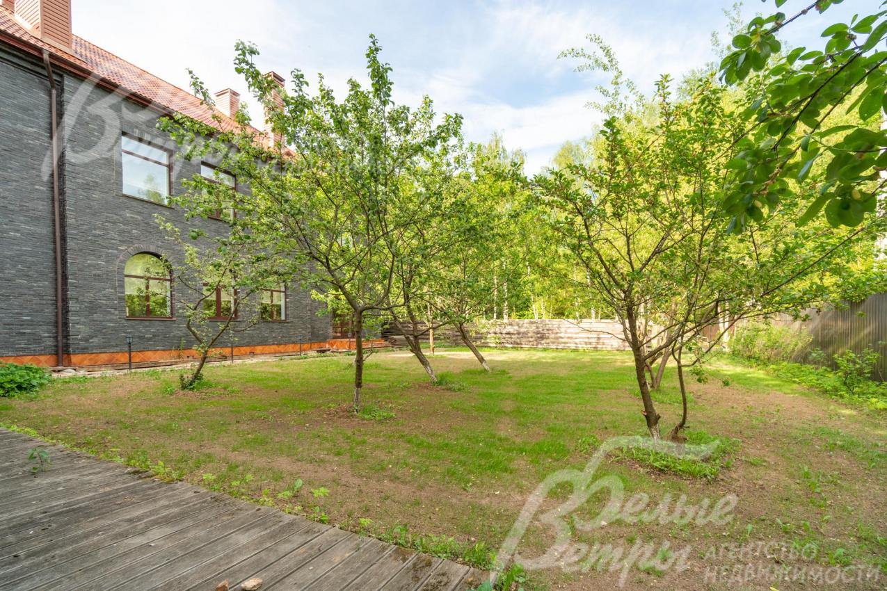 Высажен фруктовый сад: яблони, вишня, груши, слива, кусты черники, смородины, ежевики