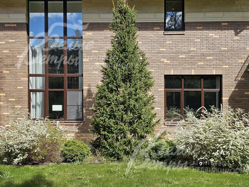 Участок 30 соток с ландшафтом и множеством цветущих рестений.