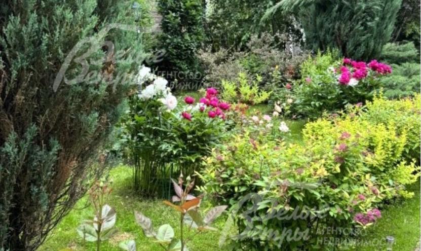 На участке плодовые деревья и цветники
