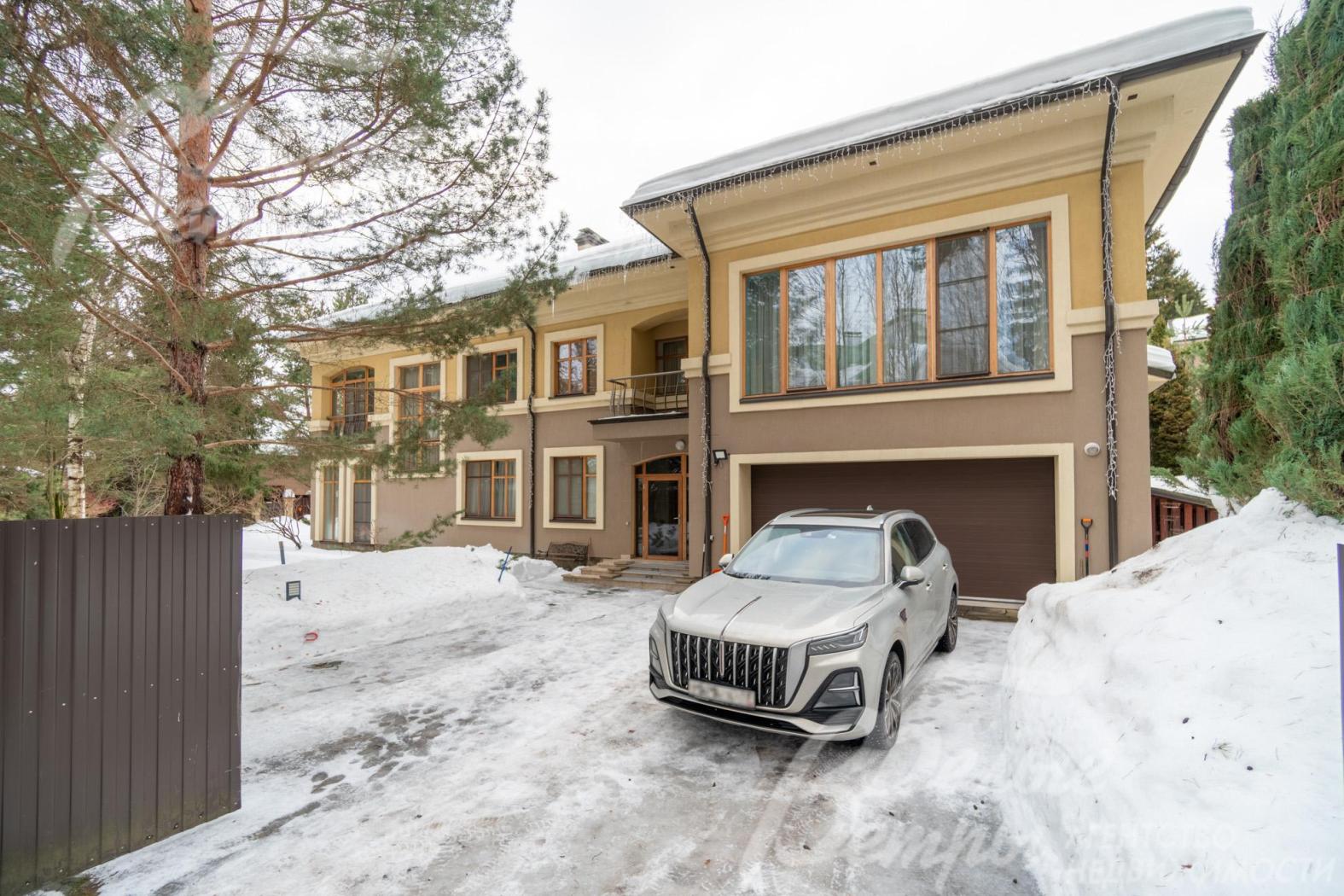 Взрослые лесные деревья на участке