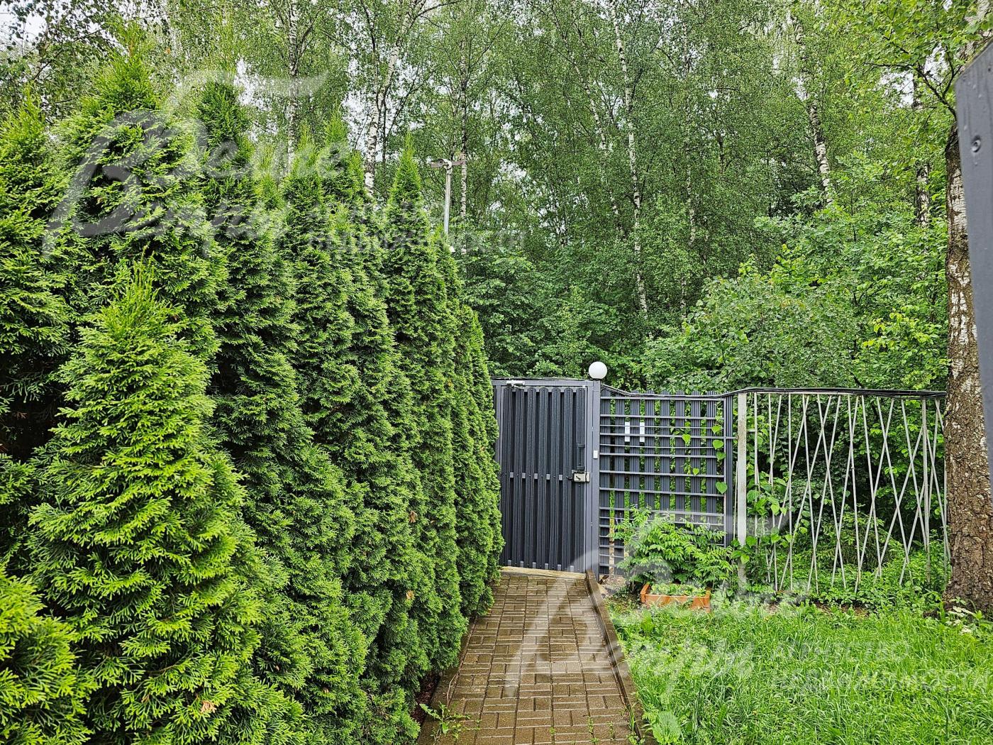 Выход в лес с территории поселка.