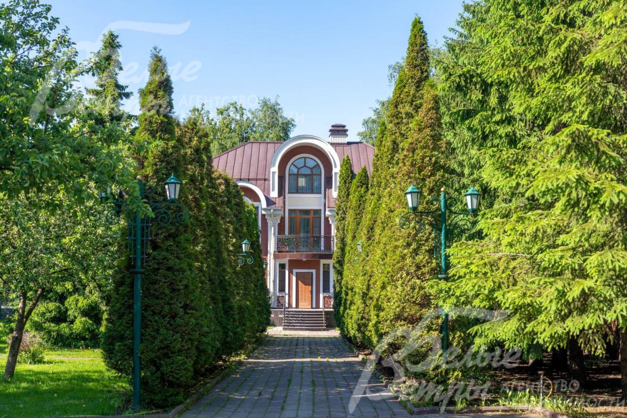 Аллея из многолетних туй как в дворянских усадьбах 19 века