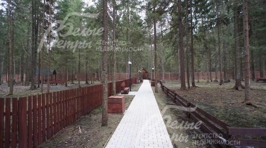 Обустроенная лесная зона