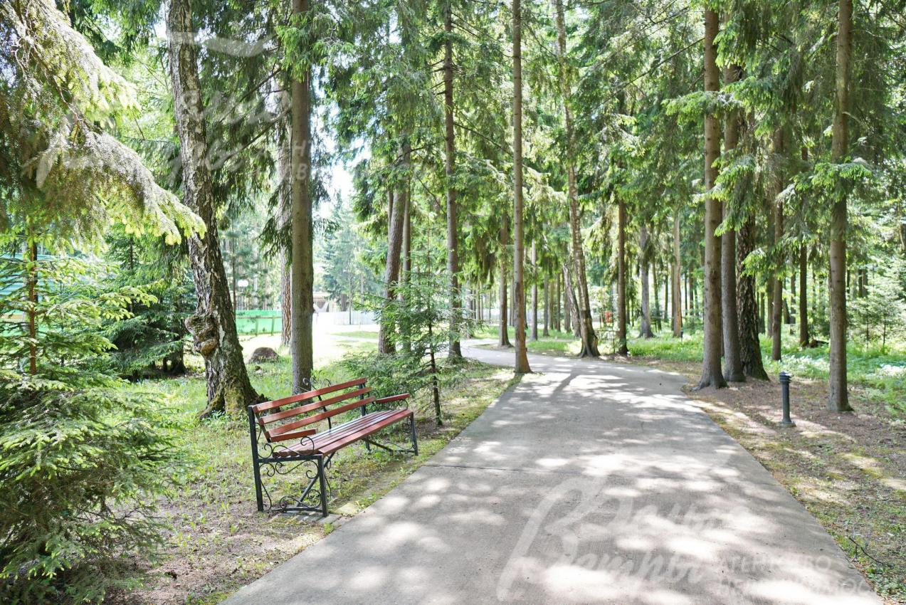 Прогулочная зона 