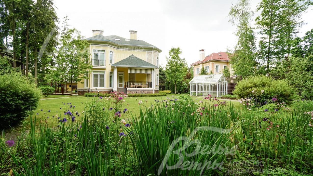 Множество декоративных растений и кустарников