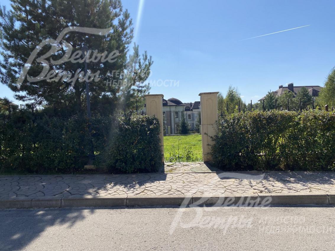 Высажена живая изгородь вдоль забора