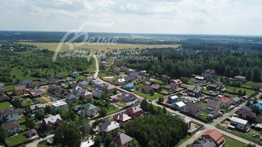 Лесной Пейзаж