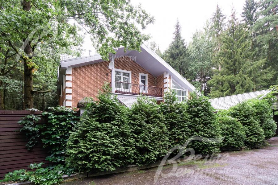 Живая изгородь