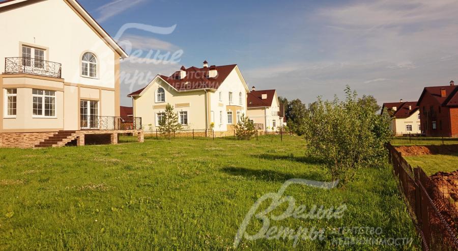 На участке высажены молодые сосны, туи и кустарники