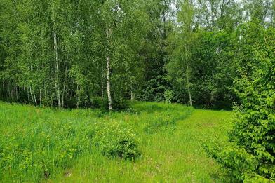 Участок, Согласие-2 КП (Фоминское), 32.2&nbsp;сот