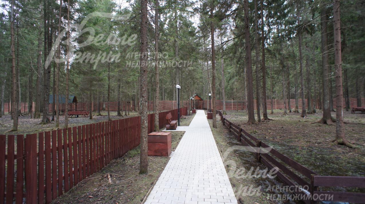 Обустроенная лесная зона