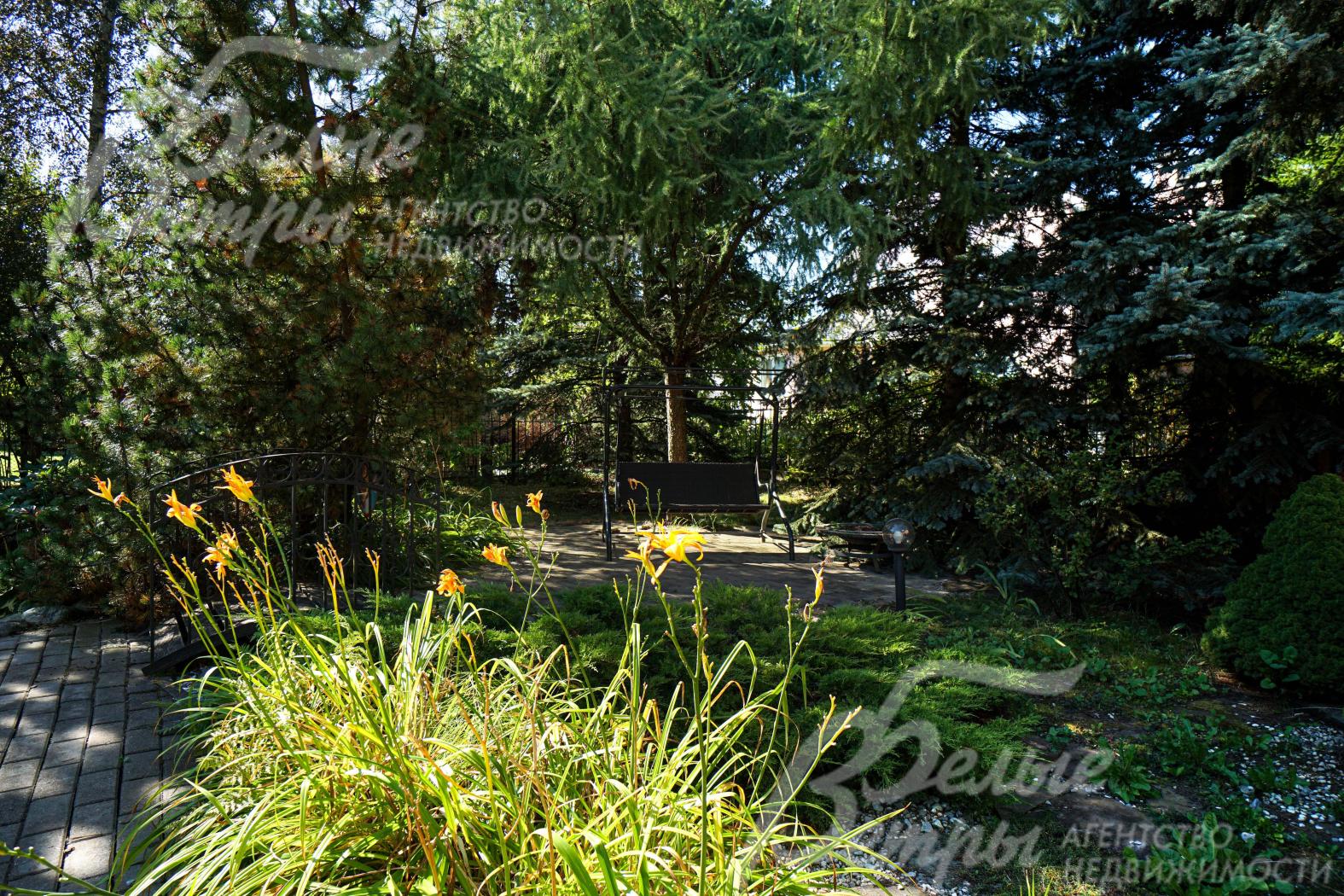 Качели в тени деревьев