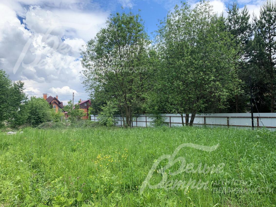 Участок правильной формы с деревьями