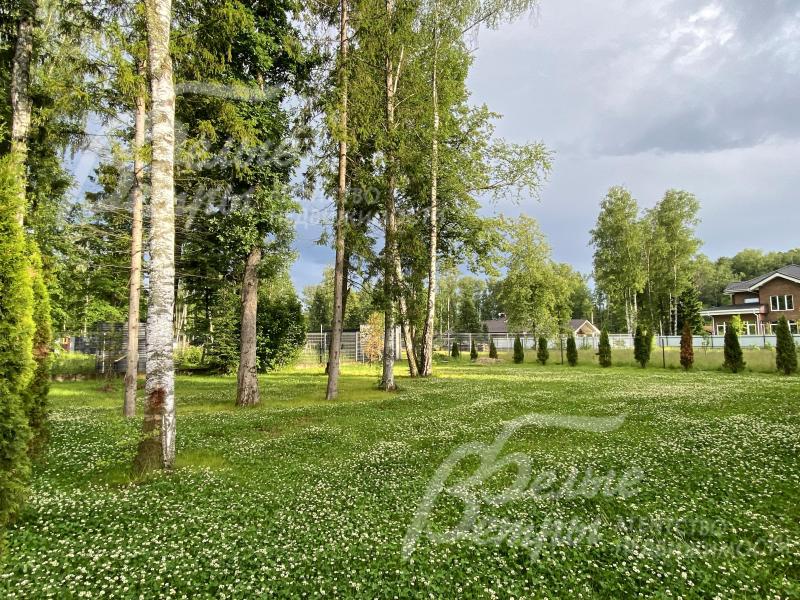 Также на территории высажены 50 туй и трёхметровые сосны