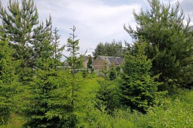 Участок, Согласие-2 КП (Фоминское), 32.2 сот