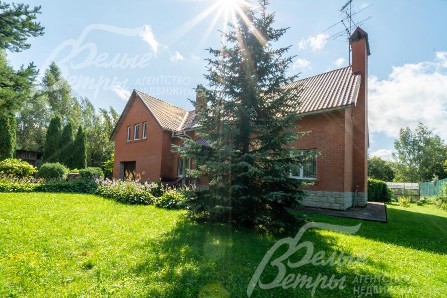 На участке взрослые хвойники, голубые ели, туи