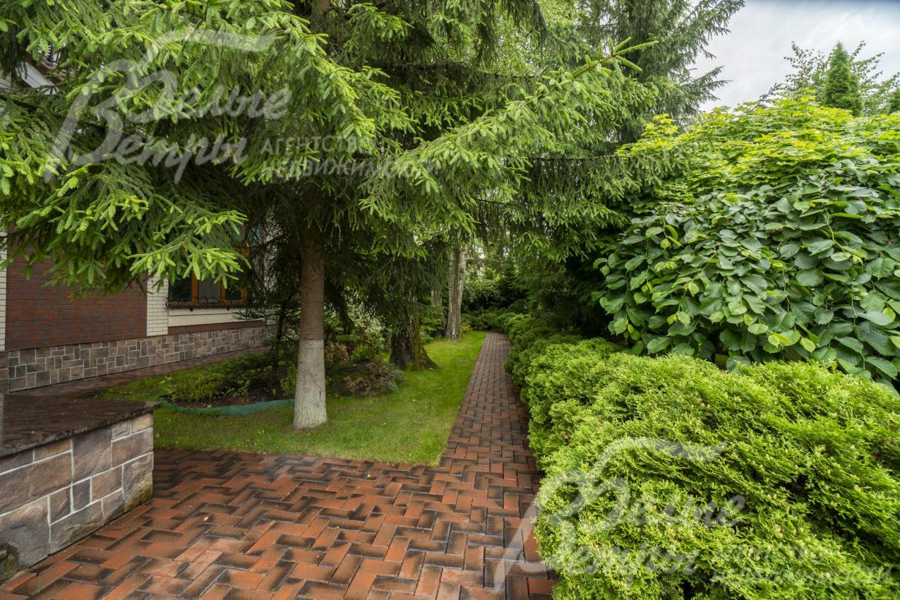 Участок утопает в зелени