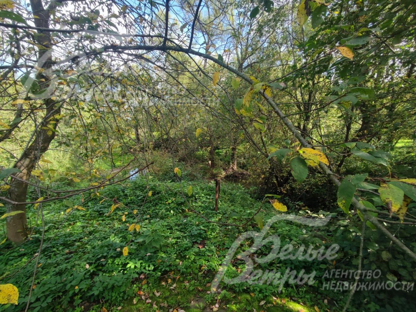 Прямой выход к реке и лесу – прямо с участка, прибрежная зона облагорожена