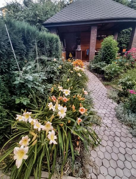 Дорожки выложены из камня