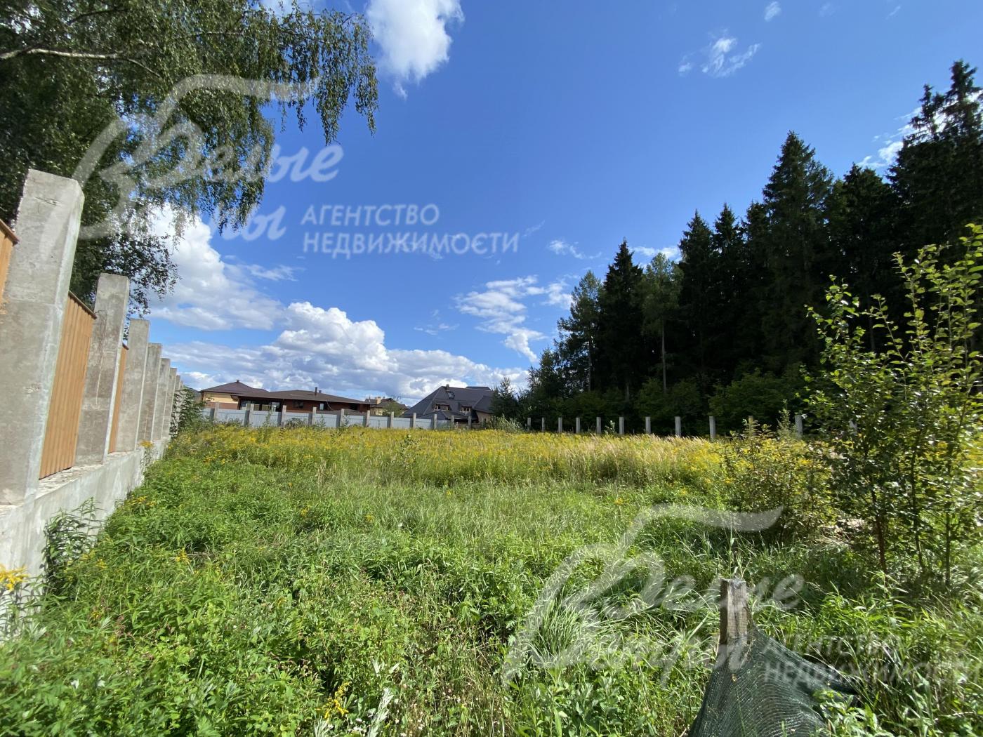 Ровный земельный участок