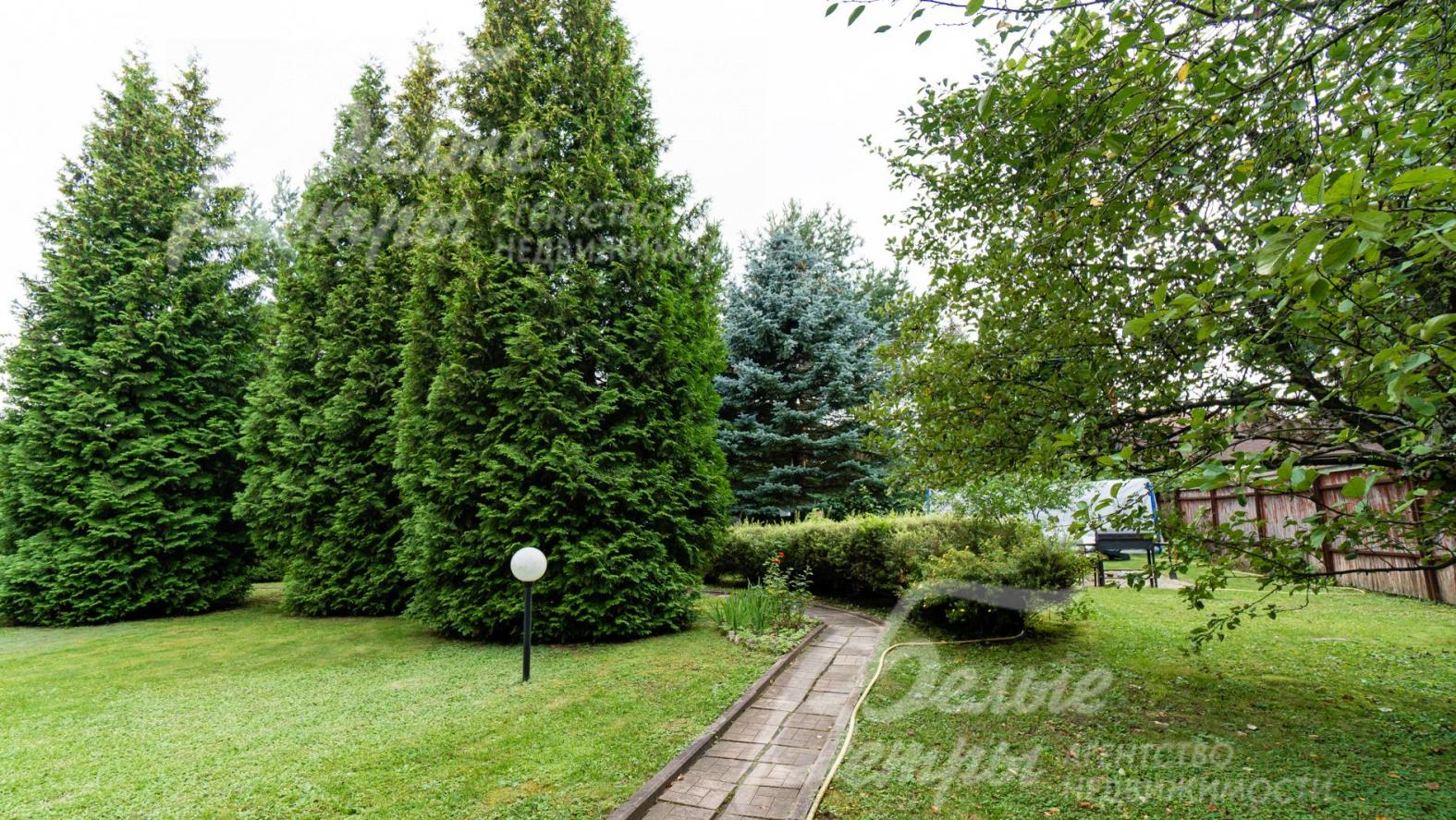 На участке взрослые ели, сосны, туи, клен и др. 