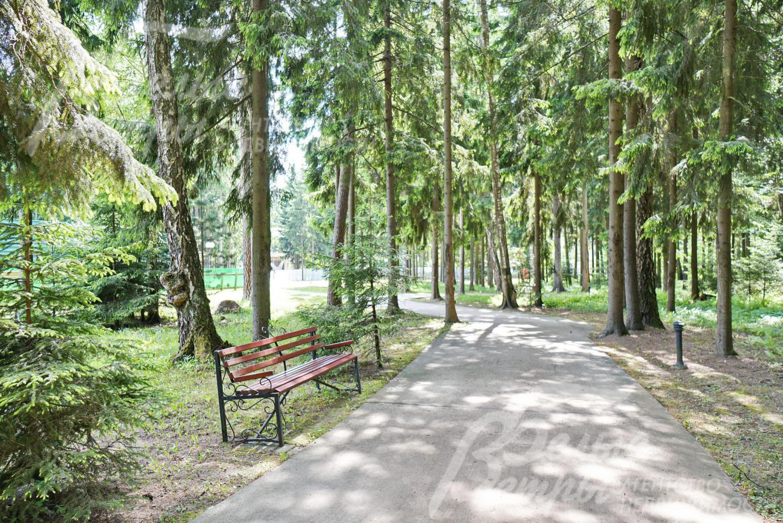 Прогулочная зона 