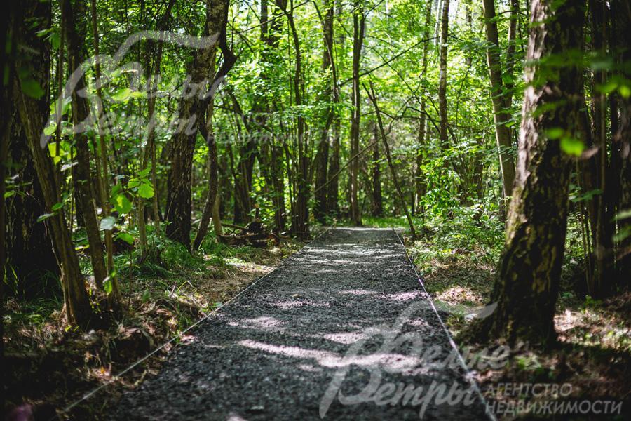 Выход в лес из поселка Резиденция Булатово