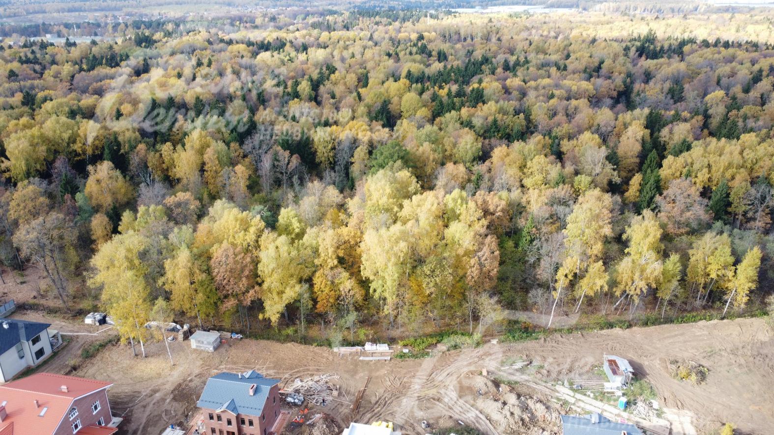 Участок у леса 