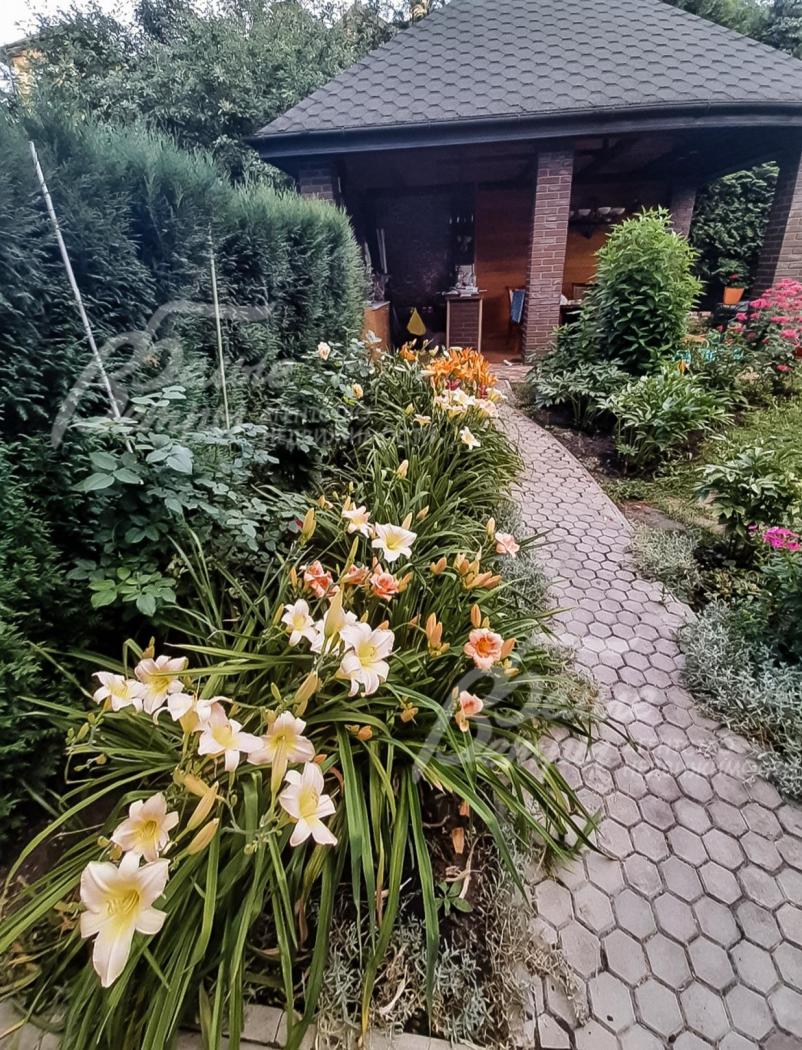 Дорожки выложены из камня