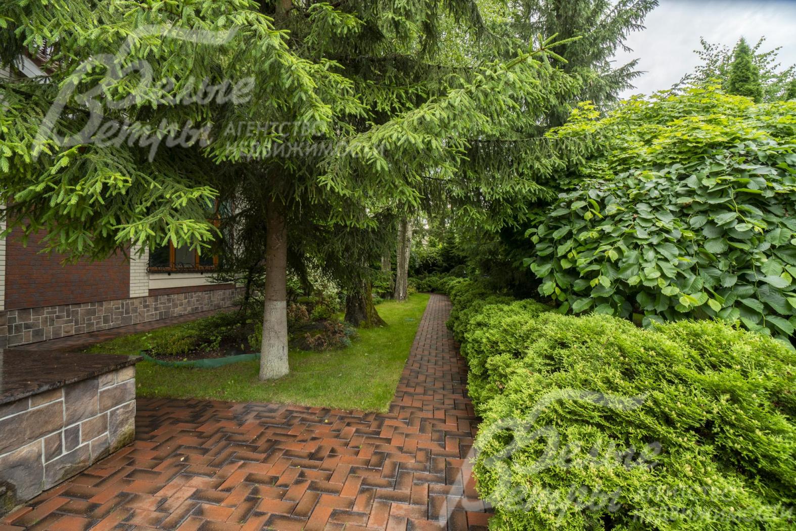 Участок утопает в зелени